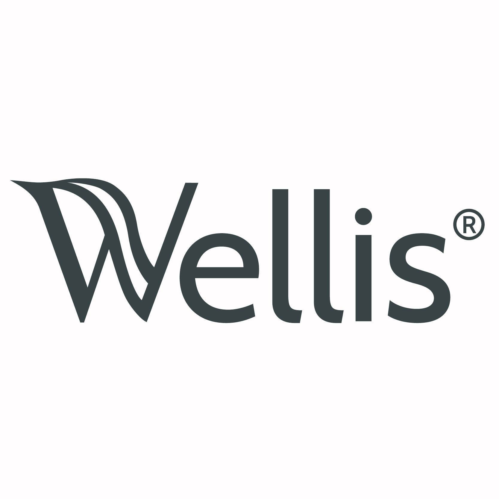 Wellis-Berlin.de-Logo